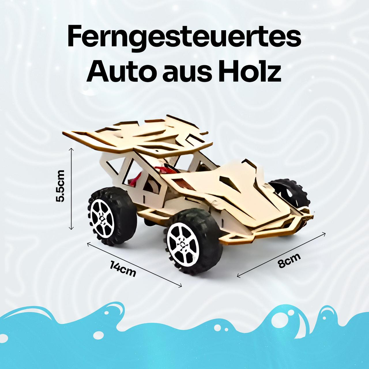 DIY Ferngesteuertes Auto aus Holz
