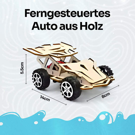 DIY Ferngesteuertes Auto aus Holz
